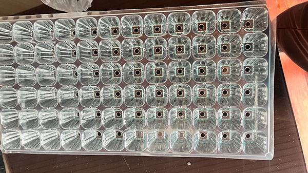 香蕉视频下载APP最新版官方下载育苗盤片材