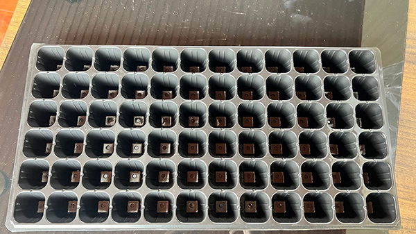 濟寧香蕉视频下载APP最新版官方下载片材價格