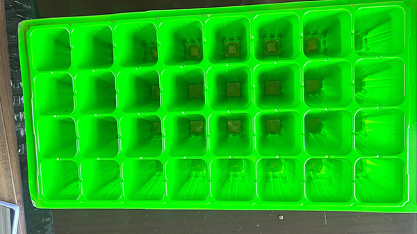 濟寧香蕉视频下载APP最新版官方下载片材